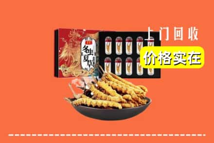 金凤区回收冬虫夏草